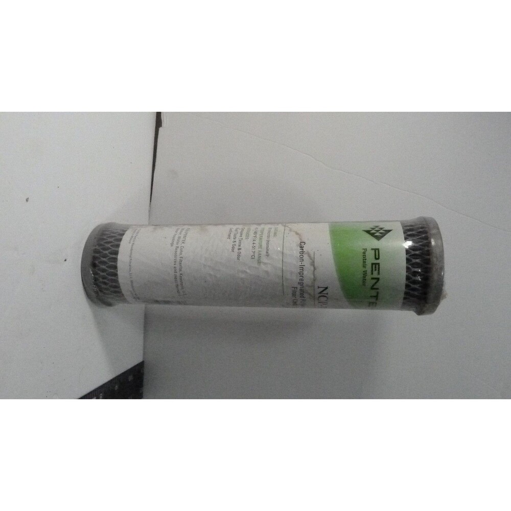 Pentair Carbon Filter Cartridge Contemporary Water Filter Replacement Element